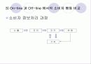 인터넷환경(온라인)에서의 소비자 행동분석(A+소비자행동론) 11페이지