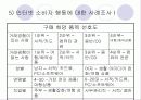 인터넷환경(온라인)에서의 소비자 행동분석(A+소비자행동론) 17페이지