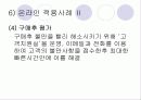 인터넷환경(온라인)에서의 소비자 행동분석(A+소비자행동론) 26페이지