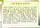 팬클럽 문화의 변화 와 허와 실 21페이지