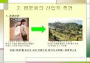 팬클럽 문화의 변화 와 허와 실 37페이지