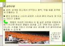 팬클럽 문화의 변화 와 허와 실 38페이지
