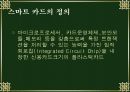 스마트카드의 모든것(의의,적용사례,위험성,대책,미래효과) 3페이지