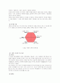 성호의 진로에 대해 홀랜드(Hollend) 아들러(Adler) 융(Jung)의 이론에 근거하여 설명 5페이지