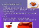 약이 되는 음식 5페이지
