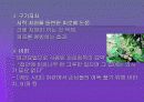 약이 되는 음식 6페이지