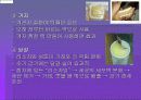 약이 되는 음식 8페이지