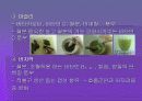 약이 되는 음식 10페이지