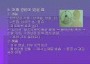 약이 되는 음식 11페이지
