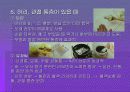 약이 되는 음식 13페이지