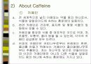 커피에 대하여.. 26페이지