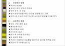 커피에 대하여.. 32페이지