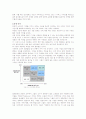 인터넷 소비자의 실제 소비연구 2페이지