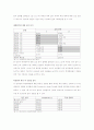 인터넷 소비자의 실제 소비연구 22페이지