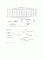 인터넷 소비자의 실제 소비연구 42페이지