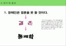 뇌성마비장애인의결혼을통한삶의태도변화 28페이지