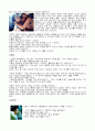 부에노스 아이레스를 보고 2페이지