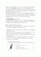 모바일 IP PHONE의 현황과 전망 2페이지