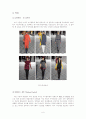 2007 F/W collection 패션트랜드 조사  6페이지