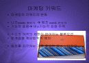 기업의 핵심역량으로서의 디자인파워 PPT 10페이지