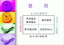 신문사별 논조 21페이지