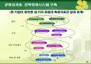 성과측정방법론 (ABC, BSC) 17페이지