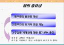 팀 성공 노하우 (팀제) 4페이지
