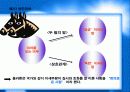 플라톤의 주요사상과 교육사상 8페이지