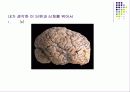자기관리 자기계발 16페이지