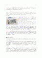 수질오염 4페이지