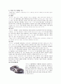 [마케팅] 렉서스의 마케팅 전략 (STP를 중심으로) 17페이지