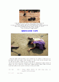보도 사진 조사 보고서 15페이지