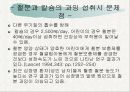 영양소 강화 우유 및 유제품 실태 조사  13페이지