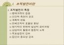 조직발전이론 조직행태론 - 행태적 기법, 감수성훈련, 작업집단발전, 관리유형도에 의한 조직발전 4페이지