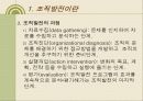 조직발전이론 조직행태론 - 행태적 기법, 감수성훈련, 작업집단발전, 관리유형도에 의한 조직발전 5페이지