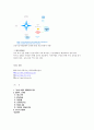 국내 건강기능식품 원료현황 및 사용실태 14페이지