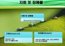사회복지 : 정신지체ct의 행동변화와 가족관계 개선(A+) 8페이지