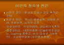 비만에 대한 분석 2페이지