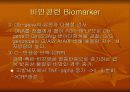 비만에 대한 분석 13페이지