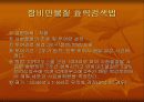 비만에 대한 분석 24페이지