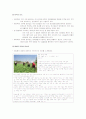 급식경영 산업체 급식 6페이지