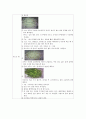 한국조리(3첩 반상, 여름 면상, 한과, 떡, 마른안주, 죽상, 여름 교자상, 겨울교자상)레시피 38페이지