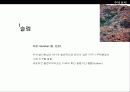 주택사정과 주택문제 9페이지