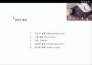 주택사정과 주택문제 11페이지
