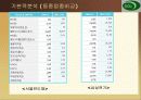 서울반도체분석 10페이지
