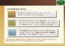 서울반도체분석 12페이지