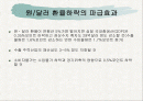 [환율] 원/달러,원/엔 환율의 영향 2페이지