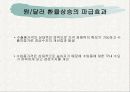 [환율] 원/달러,원/엔 환율의 영향 6페이지