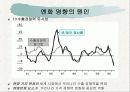 [환율] 원/달러,원/엔 환율의 영향 11페이지