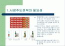 [마케팅] 선발 및 후발주자의 마케팅전략 30페이지